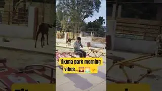 tikona park morning vibes🌄🌅🌞🤗 #shortsviral #goodmorning #vibes #myself #park