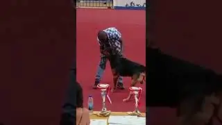 Dog Attack Owner...watch full clips on my channel