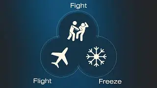 Fight, Flight, Freeze Livestream - Ask Bonnie Your Questions About This Trauma Response