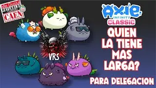 Axie Infinity Classic, Doble Backdoor Para delegaci&oacute;n.