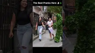 #bushmanprank#prank2025#bushmanprank2025#pranks