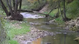 Fishing Reads Creek in SW Wisconsin