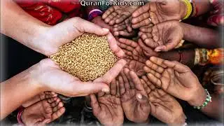 What Is Zakat? Explaining The Concept, Purpose, Importance Of Zakat