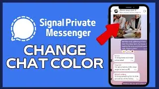 How to Change Chat Color in Signal 2024?