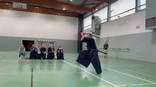 Frank Nieves - Ryushin Shouchi Ryu Demonstration - Lyon, France 2025