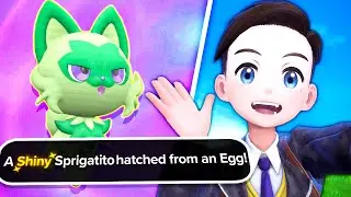 SHINY SPRIGATITO IN 2 EGGS! | Pokemon Violet Shiny Only Run  (VOD 1)
