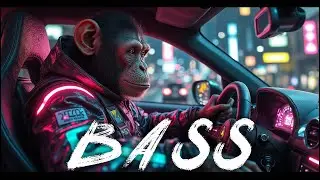 🎵 BASS DROP HEAVEN 2025  Best Electro House for Driving 🚘