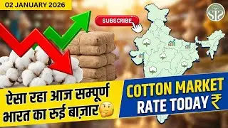 Cotton Rate: CCI कपास गठानों की बिक्री रिपोर्ट? Market Review | Smart Info