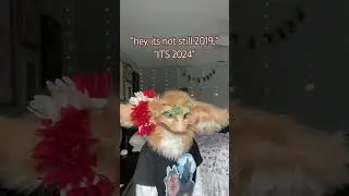 LIES #dinomask#dinomasks#antizoo#uaz#cosplay#costume#animalcosplay#animalcostume#fauxfur