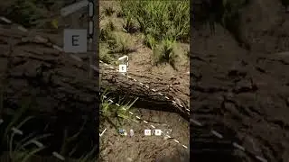 Sons of the Forest Beginner Two Logs #sonsoftheforest #sonsoftheforestgameplay #sonsoftheforesttips