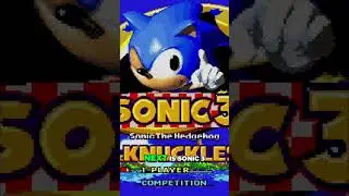 Худший уровень в Sonic 3 #sonicthehedgehog #sonic #sonicsonicsonicsonic