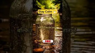 Stay calm, you will find the solution yourself #shorts #motivation #motivationalquotes #shortsfee...