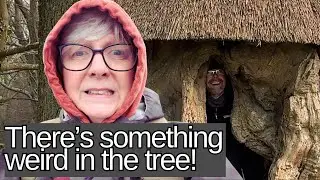 Van Life & a &pound;20 Parking Rip Off - SW Road Trip PART 3