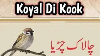Chalak Chirya | The clever sparrow story | چالاک چڑیا | Story in Urdu | Story for Kids