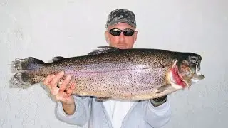Trout Fishing BEST Powerbait Setup to Catch More Fish - Trout Fishing ULTIMATE Vlog 🔥 