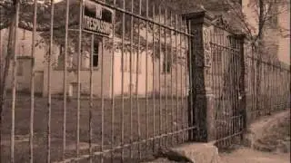 The Asylum Final