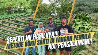 SEKELUARGA HIJRAH KE PERTANIAN, KINI KETAGIHAN DAN BUKA LAHAN PULUHAN HEKTAR!!!