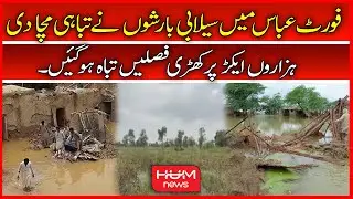 Fort Abbas Mai Bhi Sailabi Barishon Ne Tabahi Macha Di | Thousand Acres of Crops were Destroyed