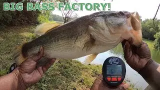 5 & 6lb BASS CAUGHT AT THE BIG BASS FACTORY!!!