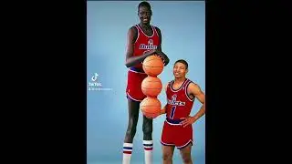 Manute Bol was a shot blocking MACHINE