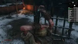 Sekiro: Shadows die Twice - No Damage Run!