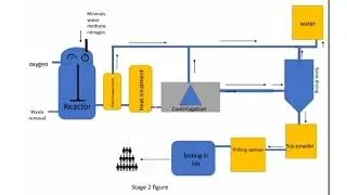 production of single cell protein using methane gas. IMP