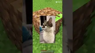 Meme Minecraft Madness: The Confusion Continues!