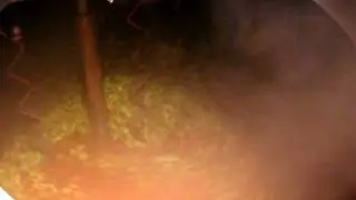 Surly Brewing Company - hops in the kettle for wet-hop beer