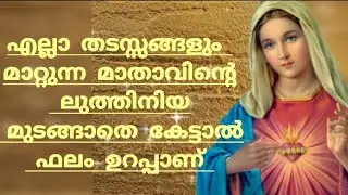 പരിശുദ്ധ അമ്മയുടെ ഈ ലുത്തിനിയ മുടങ്ങാതെ കേട്ടാൽ ഫലം ഉറപ്പാണ്