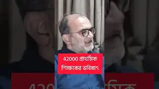 42500 Primary teacher appointment illegal