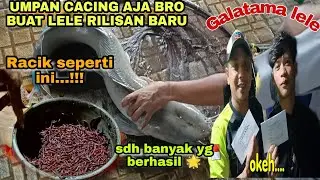 CUMA PAKAI CACING BISA JUARA..GAES 👍BUAT IKAN BARU DAN EVENT BESAR || RACIKAN CACING TERBARU...
