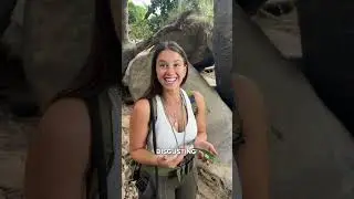 ВЫ БЫ ЕСЛИ ЖУКОВ?😅