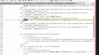 Basics of Angularjs framework.