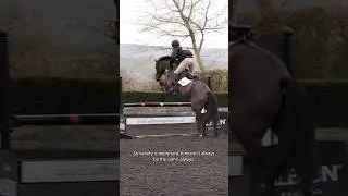 William Fox-Pitt demonstrates how  he works on show jumping leading up to the eventing season! 🔥