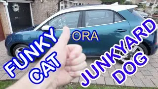 GWM ORA funky Cat Electric. FUNK or JUNK?