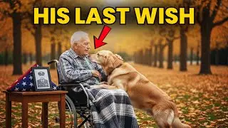 WWII Veteran&rsquo;s Last Wish Before Death Was to See His Dog, But What Happened Next Changed Everything
