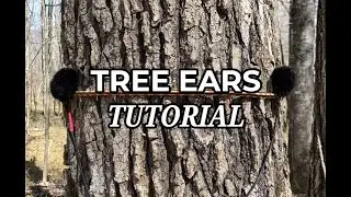 BTS #1: How To Setup Tree Ear Microphones