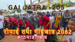 बौध रोपाइँ जात्र ll  गाइ जात्रा ll BAUDHA ROPAI JATRA ll Ghumante Jhalak Dai