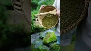 🌾 Village Farmer Life | Rural Farm Daily Routine #short #rurallife #rural
