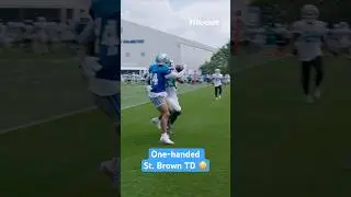One-handed Amon-Ra TD 😲 | Detroit #Lions Training Camp Highlight