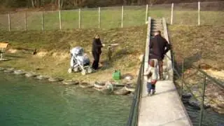 peche-isere-truite-1.AVI