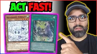 YUGIOH YCS HYPE CAUSING THESE CARDS TO GO CRAZY! Yu-Gi-Oh! Market Watch​