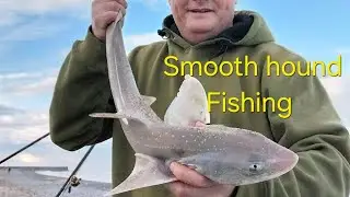 Beach fishing for smooth hounds,  fishing a popular wicklow beach