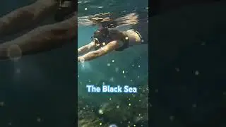Snorkeling and diving in the Black Sea in Bulgaria #gopro #underwater #българия #travel #mermaid