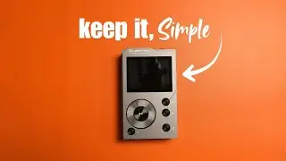A Budget DAP That Keeps It Real | Surfans F20 | TWX