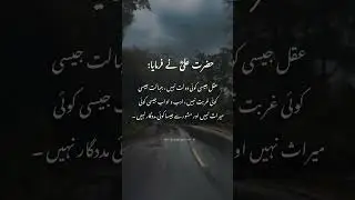 Hazrat Ali&rsquo;s Wisdom | Intelligence Is Wealth, Ignorance Is Poverty 🌙