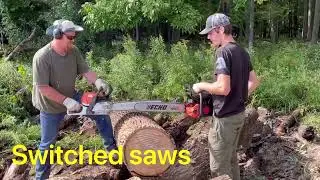 Ported Echo 590 vs a stock Stihl 400c