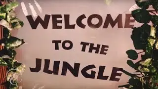 Enchanted Jungle Wedding Theme