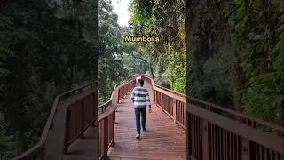 Mumbai's first ever Elevate Nature Trail, a 485 meters long wooden walkway in Malabar Hill