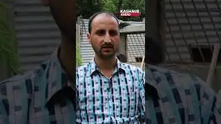 Local craft, global acclaim: Kashmir Willow shines! #Cricket #KashmirWillow